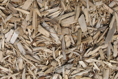 biomass boilers Martinhoe